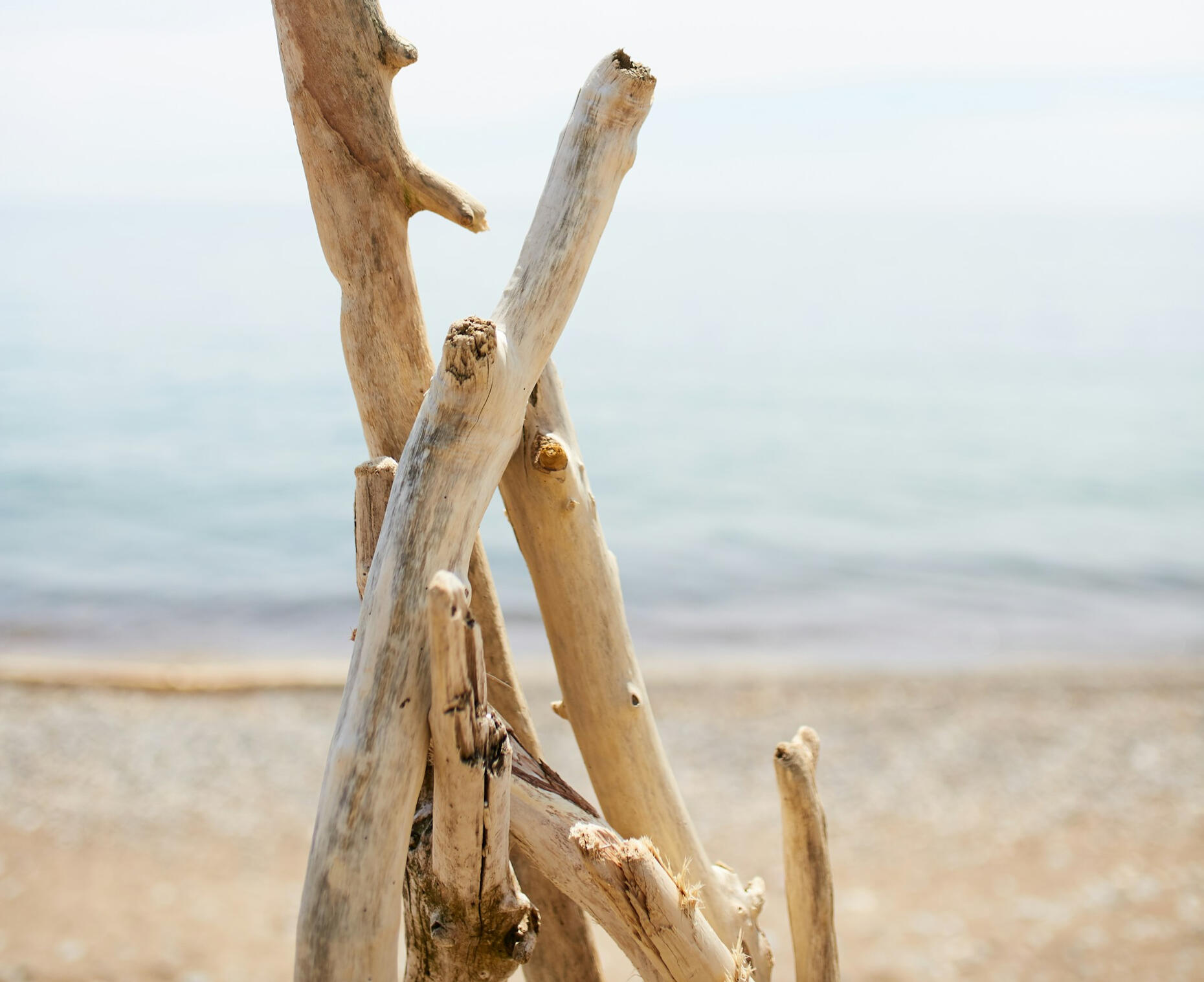 estructura de ramas en la arena, símbolo de construcción artesanal de alojamientos